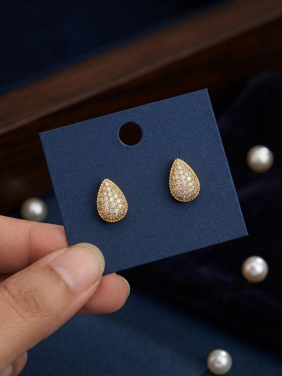 Beautiful drop earrings ✨️